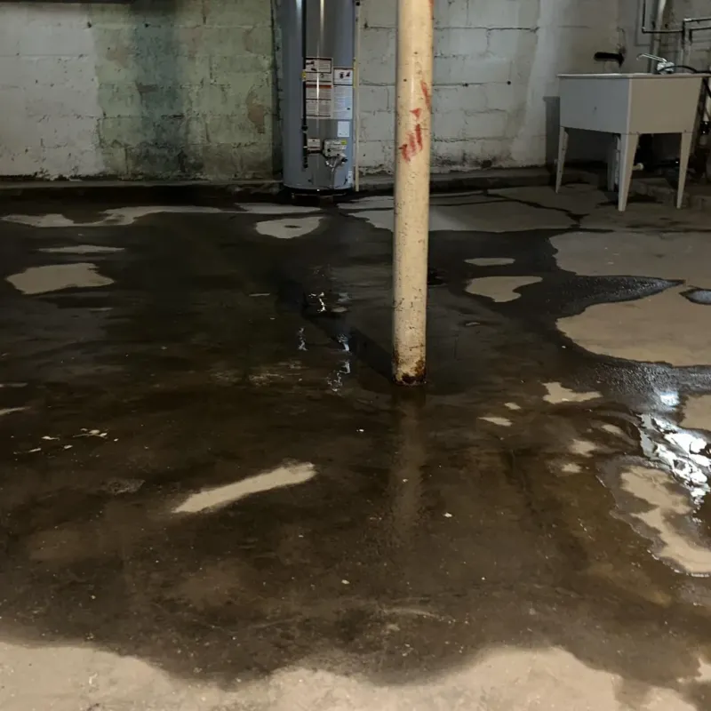 Emergency Water Extraction And Removal in West Alexandria, OH